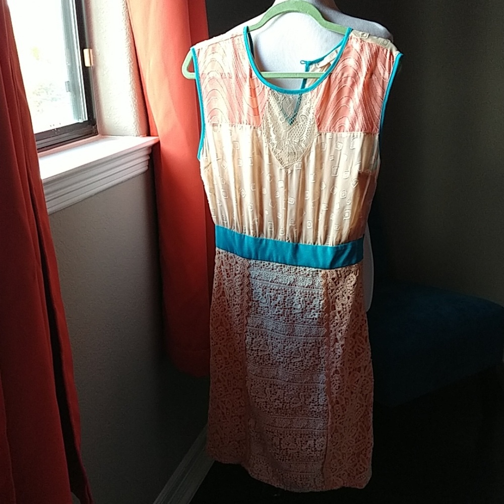 Champagne and Strawberries dress 6 - Picture 6 of 7